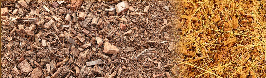 Coir-products