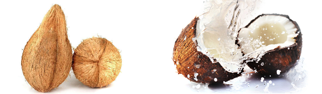 Raw Coconut